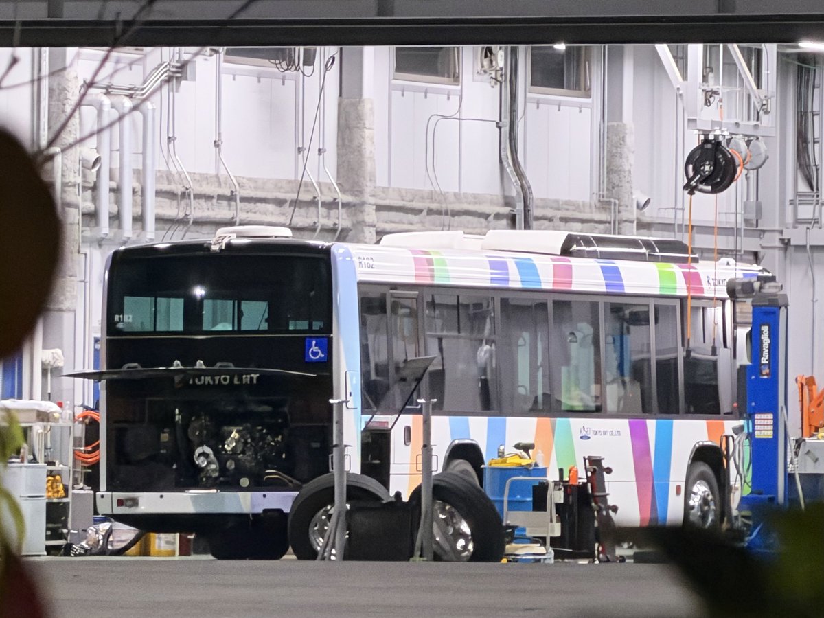 バスの剥製 ある on X