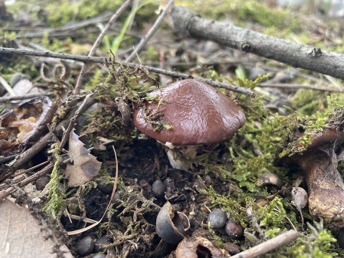 やまなか tweet media