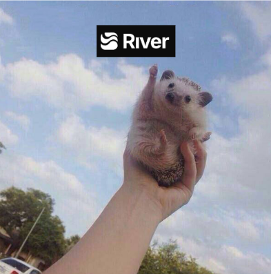 Lazzy Cloud 🌊RIVER tweet media