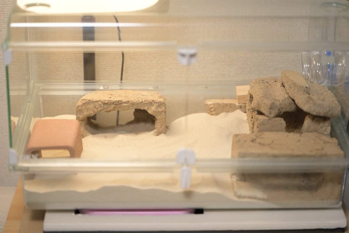 ペロ木村 (@S5ROvu7uvUr8RO5) / Posts / X