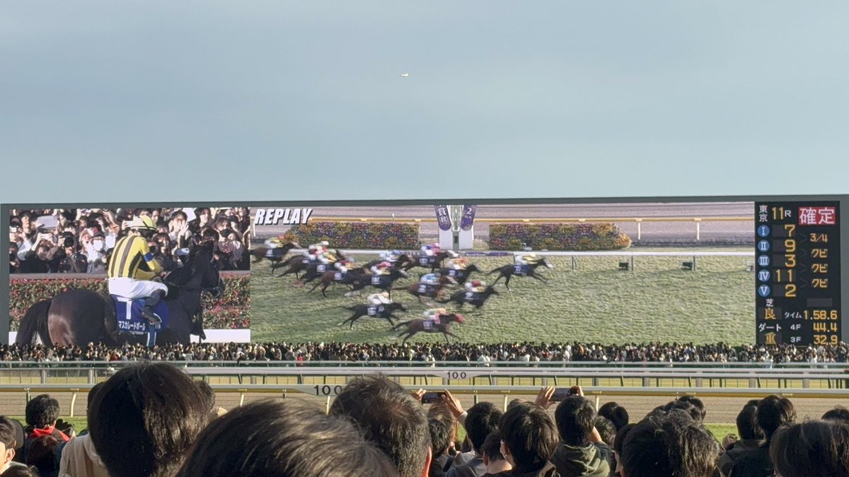 EusiaWS's tweet photo. Autumn Tenno Sho was a nice occasion 👍 I'm first in my bloodline to watch a race since my ancestors lost it all on singapore's horses https://t.co/Oyt7lsWobb