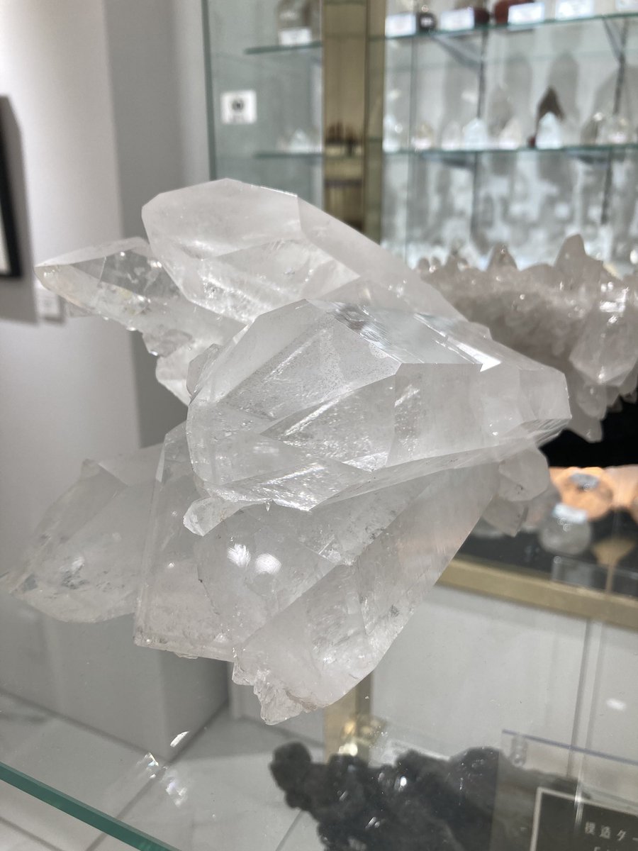 ミネラル8　ケンガミネサマ ミネラルマルシェTOKYOミュージアム on X