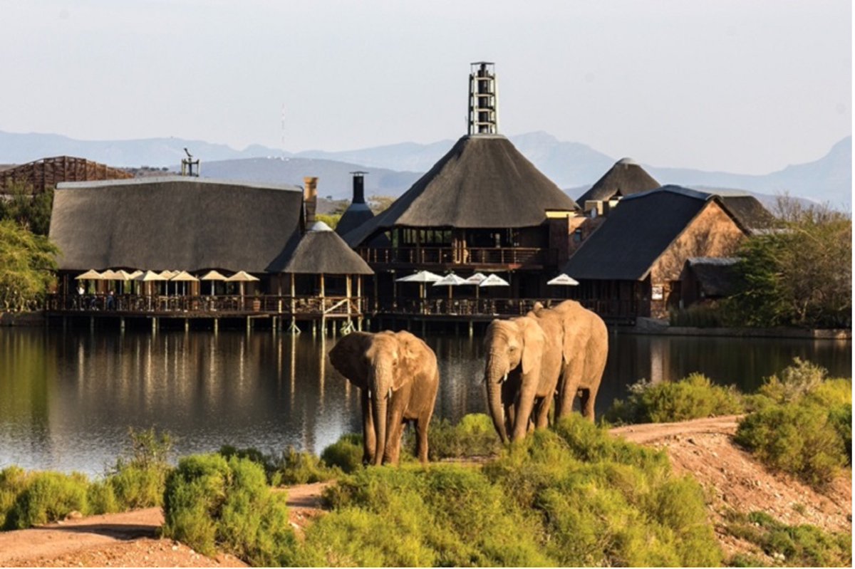 HelloGardenRoute tweet media