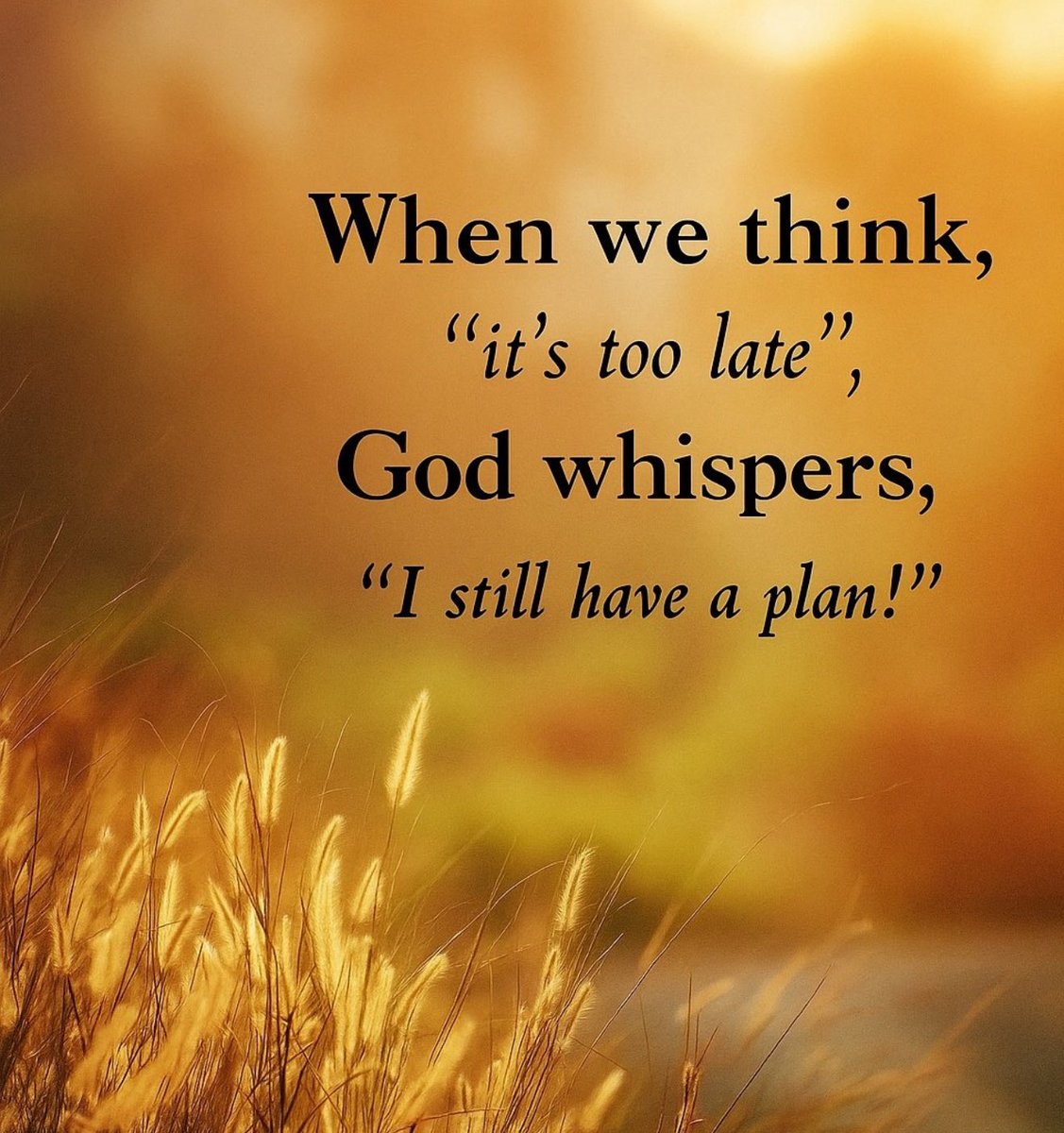 Vlok Cilliers (@vlokskop10) on Twitter photo 