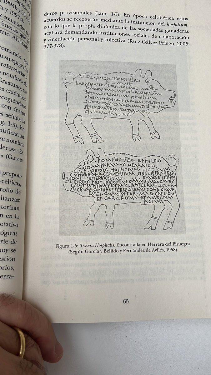 Pablo D. Sanfeliu XJCF tweet media