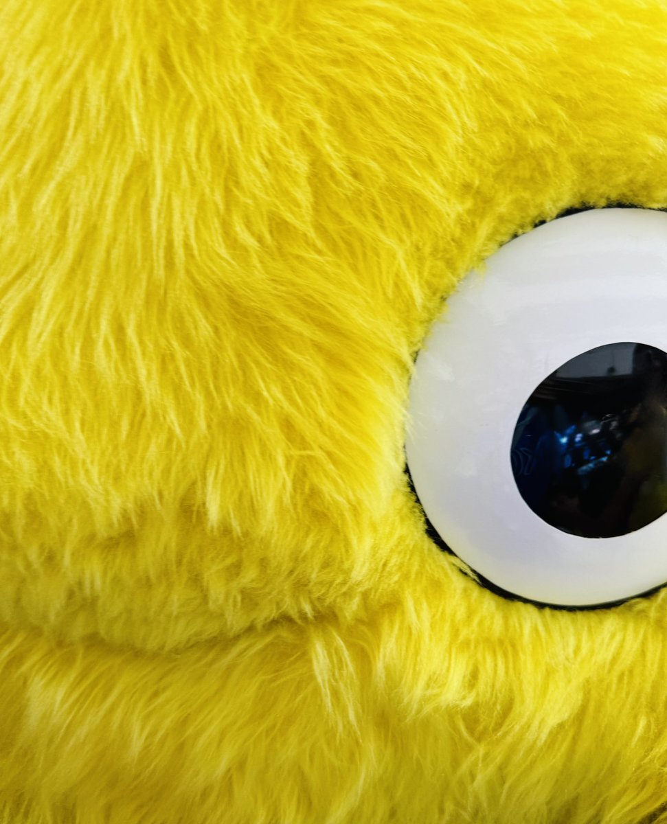 ちゃぴ🟡🌈 (@qR6VP20rVckhOSE) / Posts / X