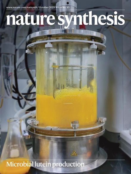 Hyun Min and Cindy's paper chosen as the Nature Synthesis journal cover paper. Congrats!
nature.com/articles/s4416…