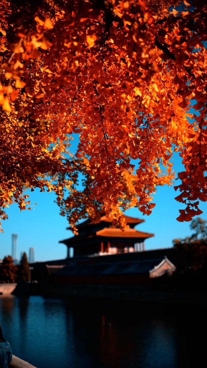 André-Yu-Photographer tweet media