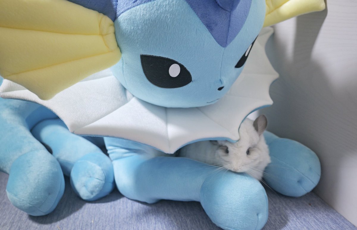 配信で言ってた等身大シャワーズはこちらです