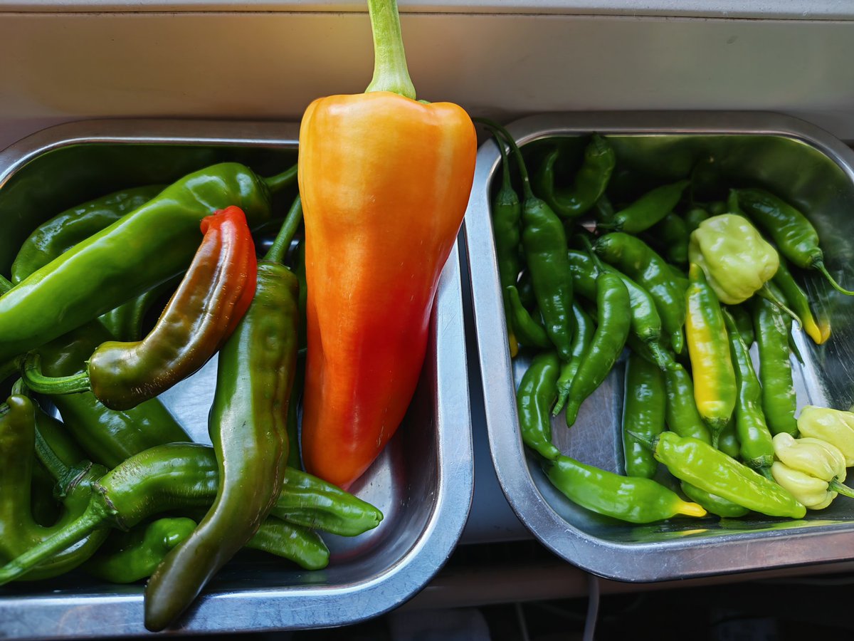 Foodyman 🌶️ tweet media