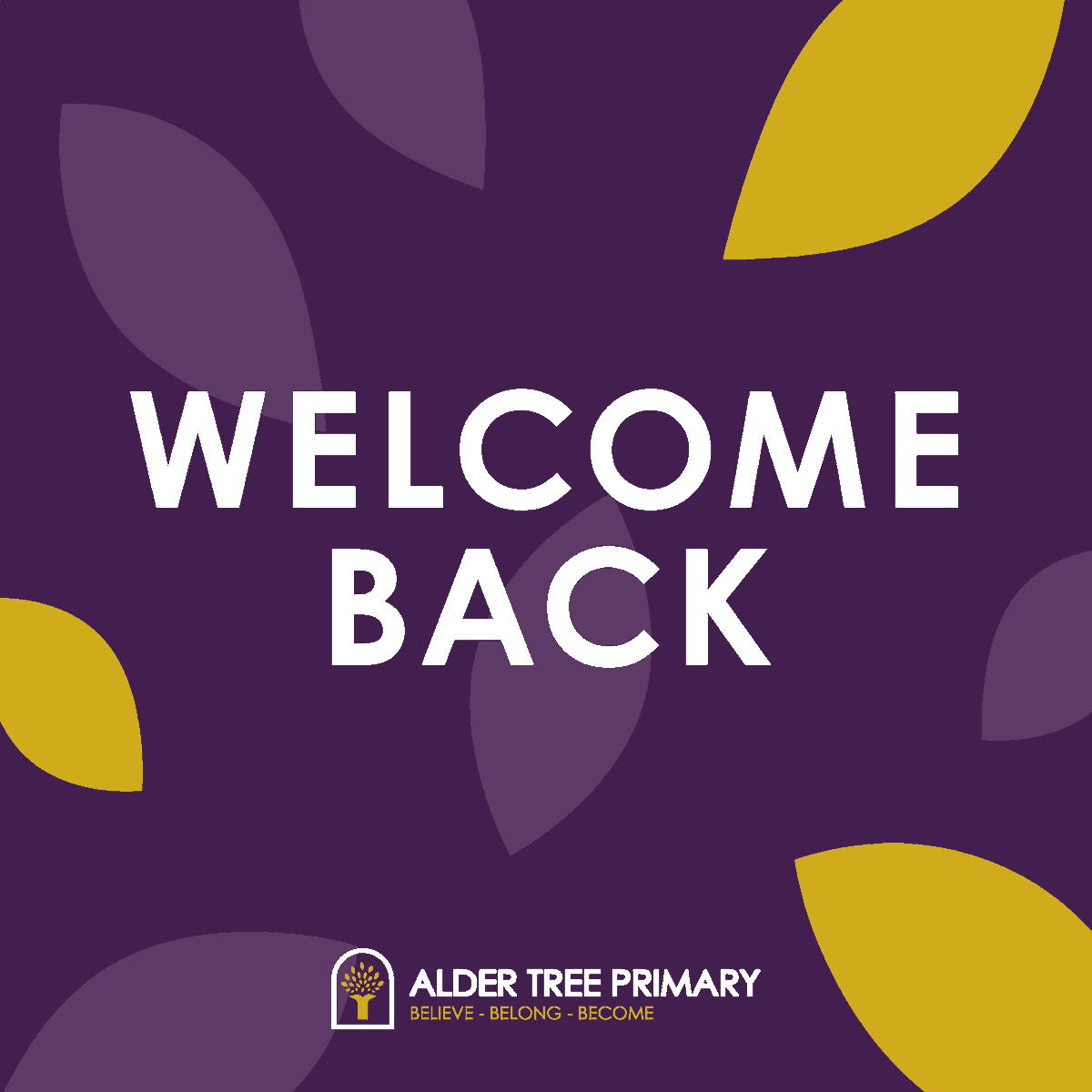 Alder Tree Primary tweet media