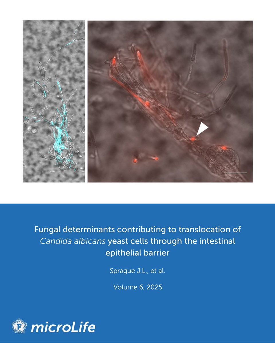 microLife tweet media