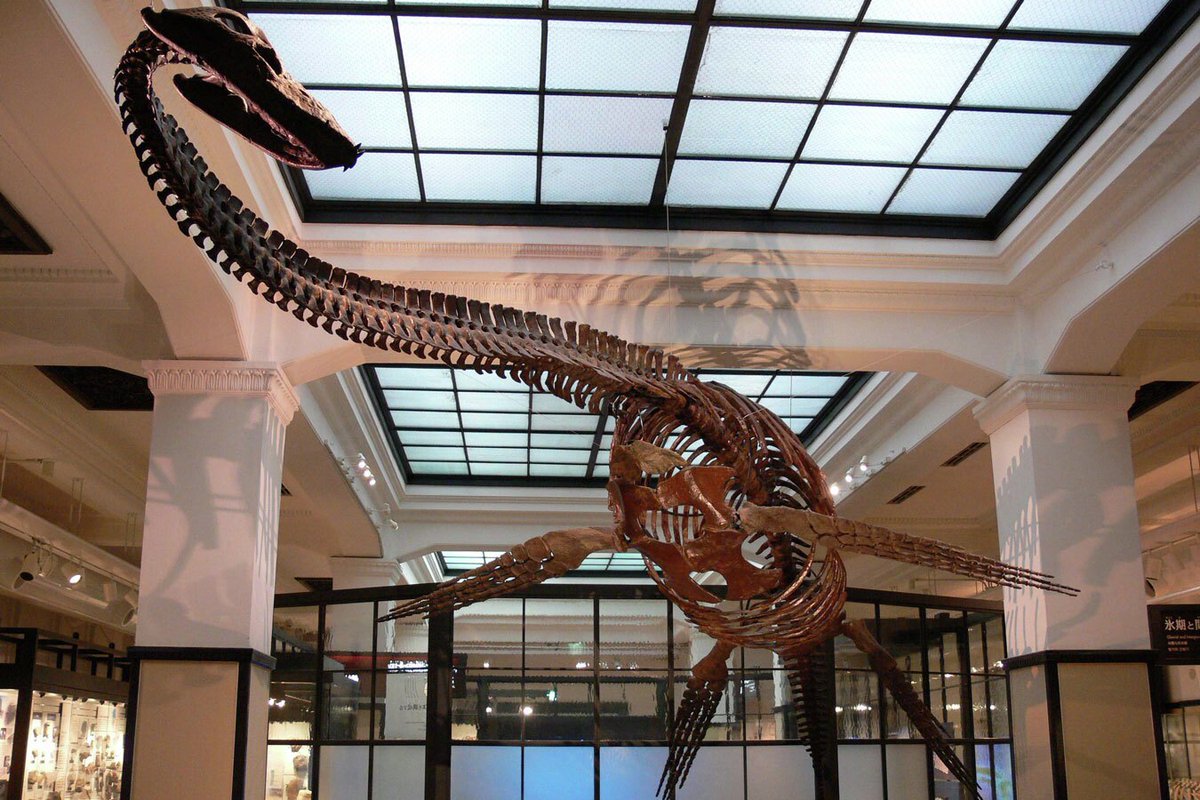 enjoy_tokyo's tweet image. 【明日】#文化の日 は入場無料🙌✨

11/3(月・祝)は「文化の日」。都内にある美術館や博物館など、多くの文化施設が入場無料に！0円で楽しめるオススメのスポットを紹介します👇

enjoytokyo.jp/article/107454/