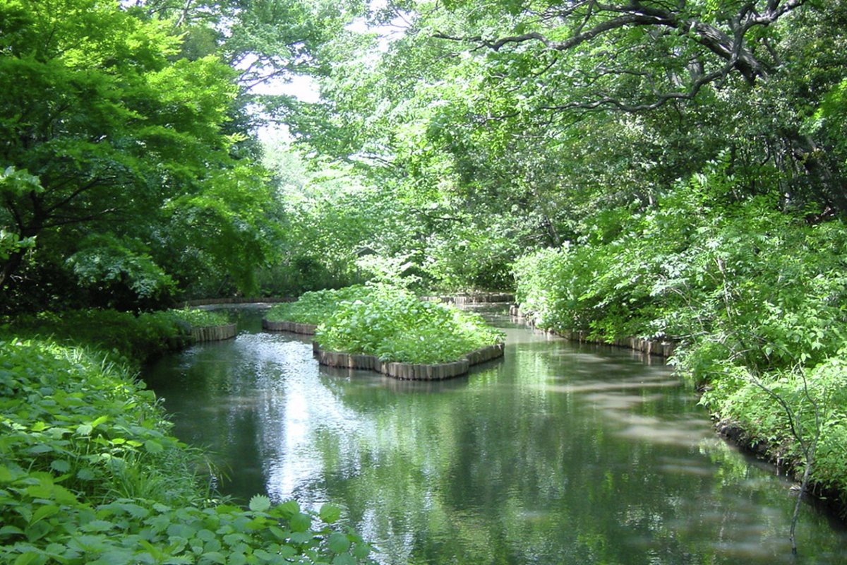 enjoy_tokyo's tweet image. 【明日】#文化の日 は入場無料🙌✨

11/3(月・祝)は「文化の日」。都内にある美術館や博物館など、多くの文化施設が入場無料に！0円で楽しめるオススメのスポットを紹介します👇

enjoytokyo.jp/article/107454/