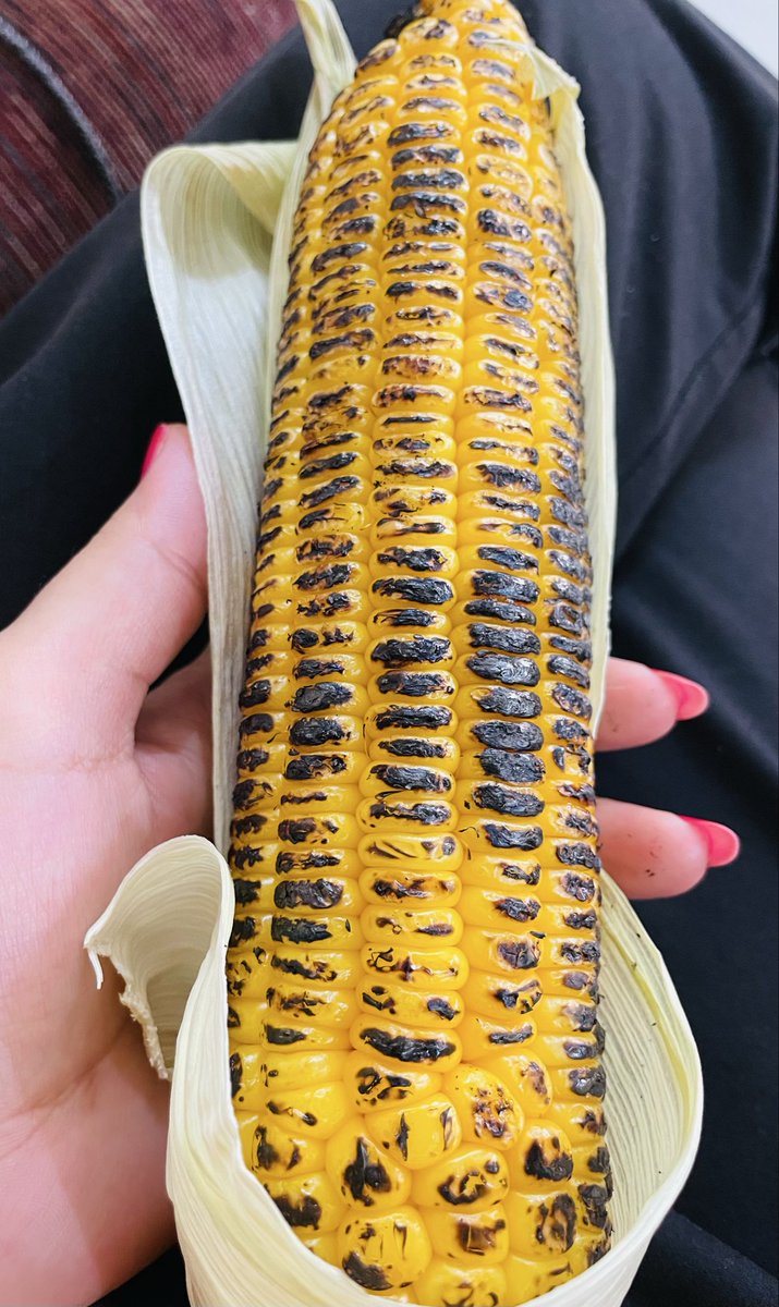 Saniakhan tweet media