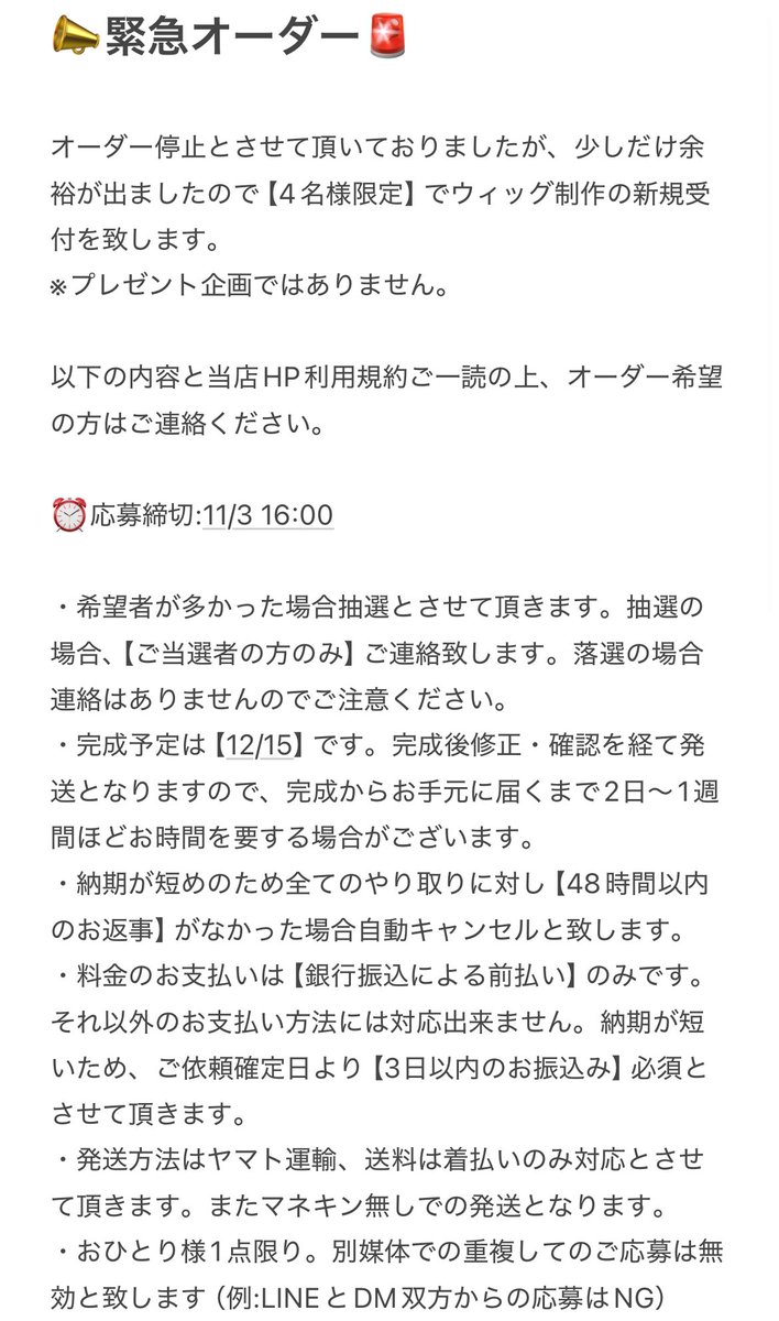 オーダーウィッグ受付ページ【受付停止中】 ウィッグオーダー】受付ページ 12月~ - メルカリ