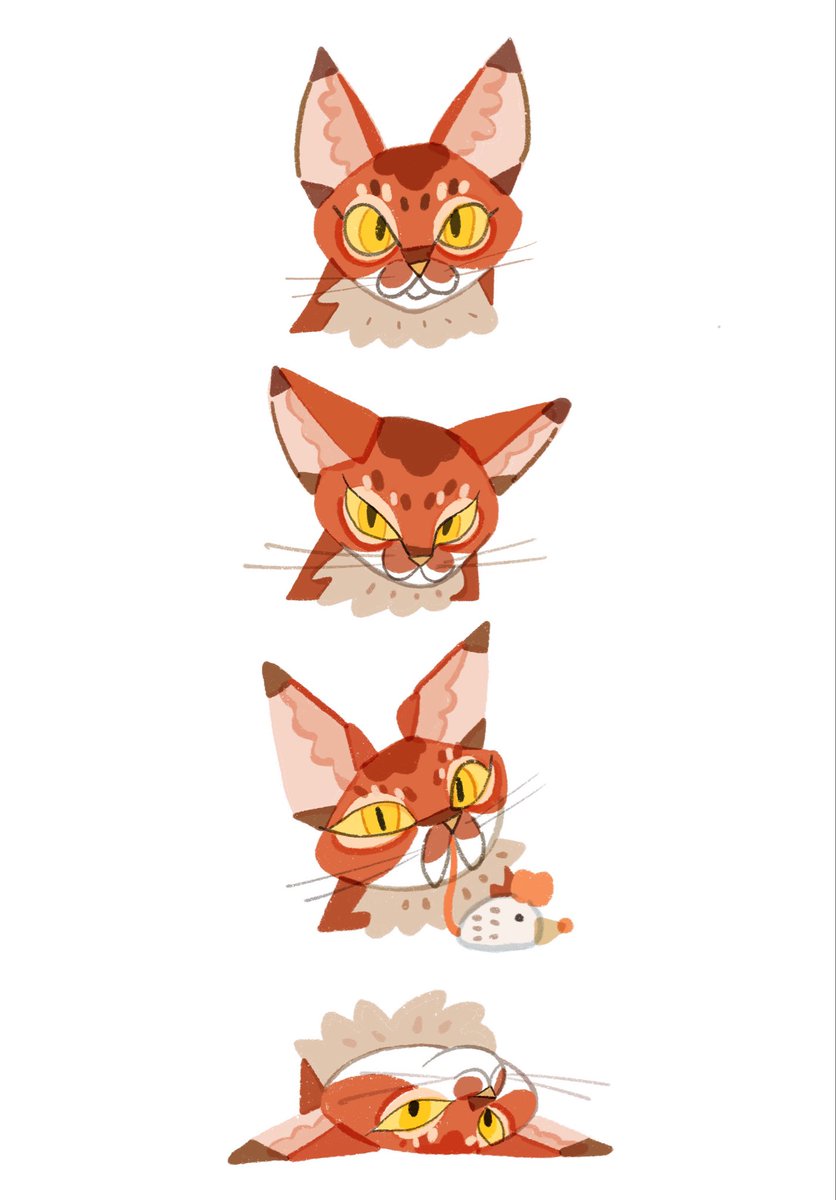 おかやまたかとし (@410okayama_) on Twitter photo 