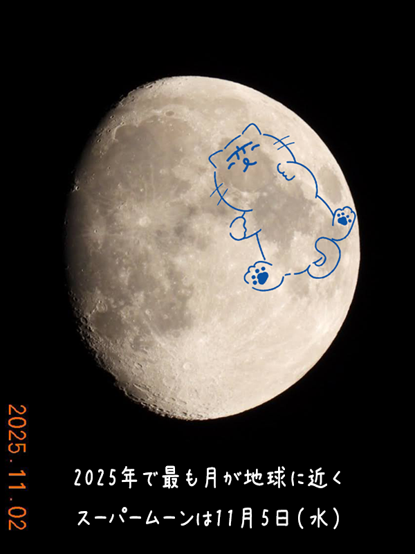 ラットマウス様⚠️8個注文⚠ ぱぱのひとりごと on X