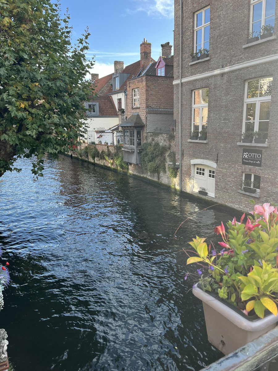 Adam Rouse tweet media