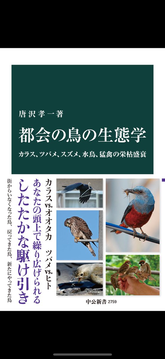 蕎.麦. (@zssan1002) / Posts / X