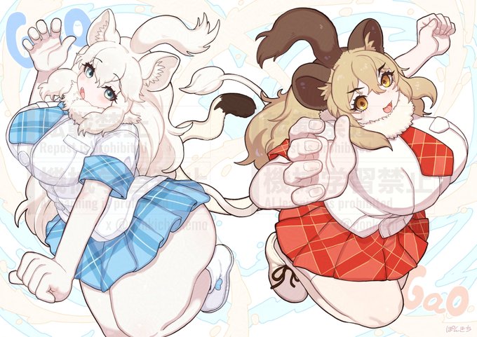 🦁ホワイトライオン&ライオン🦁 