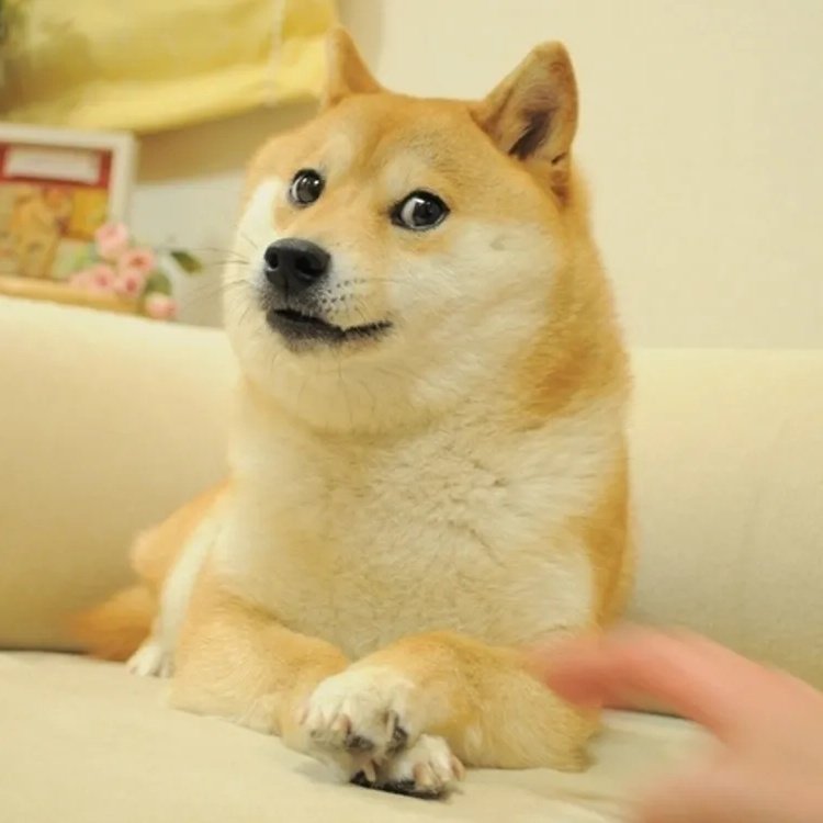 ping_0912's tweet image. 