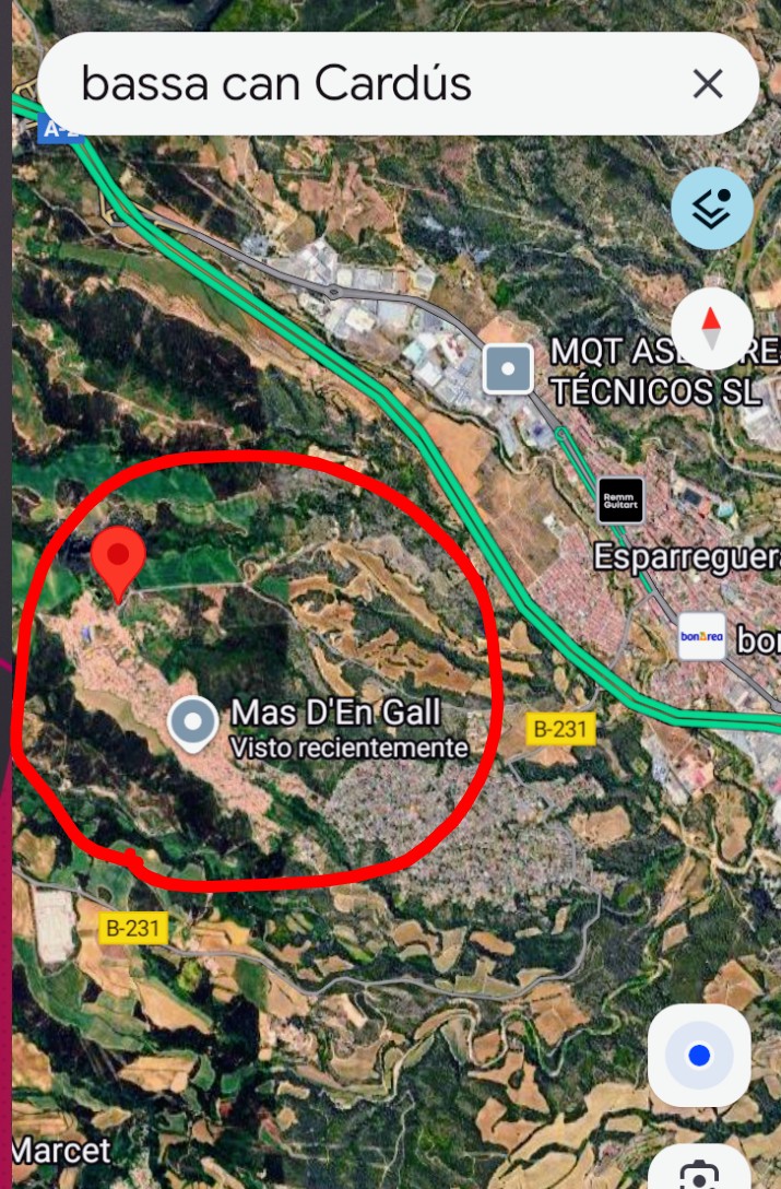 areagossosbdn's tweet photo. 🆘🆘¡¡ATENCIÓN!!🆘🆘
ANBER sigue perdida en #Esparraguera #Barcelona
Se ha visto varias veces por Mas d'en Gall y zona de Bassa de Can Cardús.
Es muy miedosa, no intentar coger, sólo localizar y contactar:
📞655143134 - 650150128
Máxima difusión.
#XarxaBarcelonaPerduts
#FemXarxa https://t.co/pW5iACMA93
