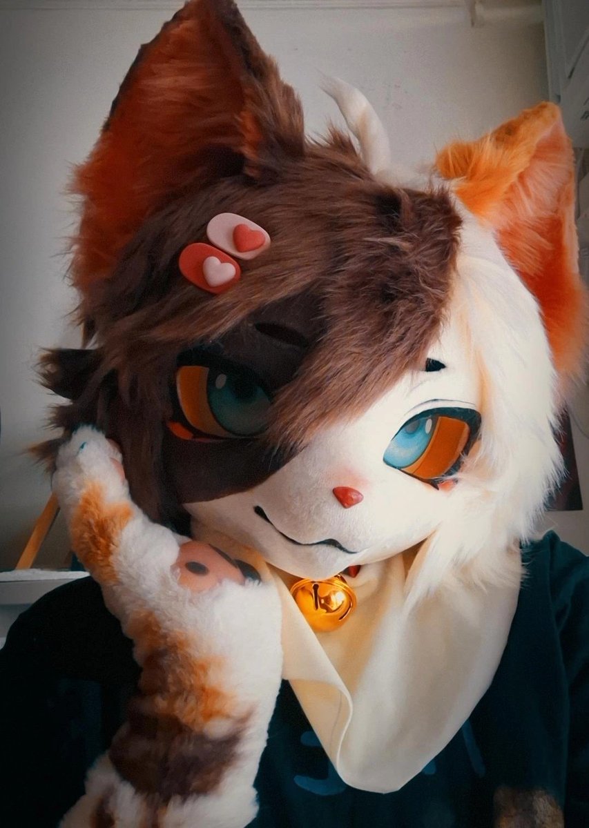 sashimiisiu's tweet photo. I made a wish and turned into a real cat #MYFURSUITARRIVED #FURRY #IMAFURRY #HIIIIII https://t.co/Khmv2zP0Vx