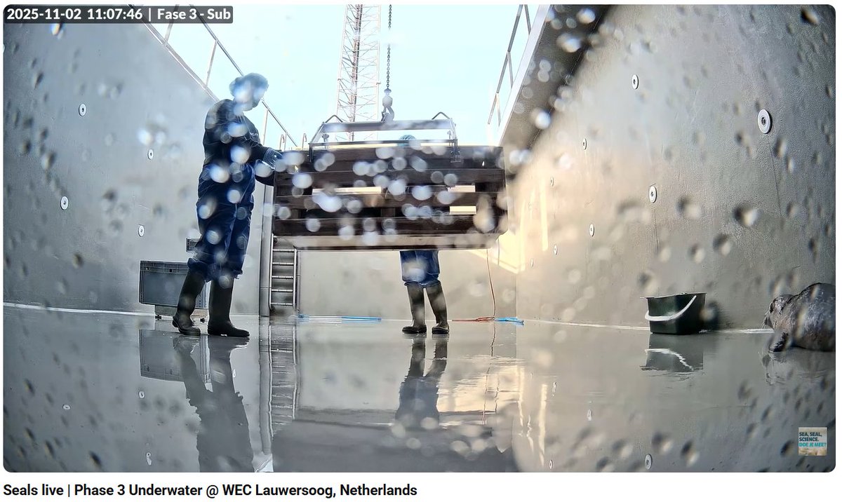 不二子 ストラクチャー Amazon | 橋本不二子 2025年 カレンダー 壁掛け 書き込み L CAL