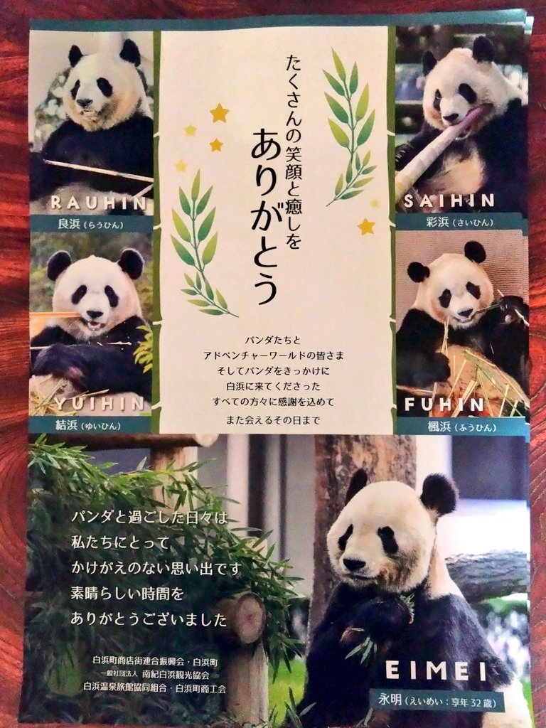 パンダ沼ズブズブ! (@panamani871100) / Posts / X