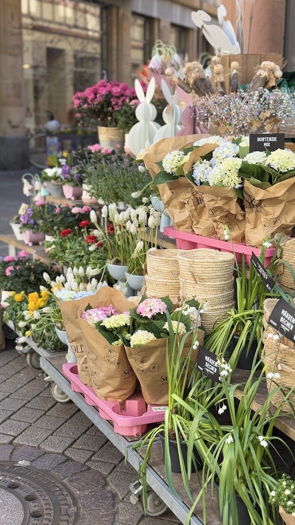 yakovleva_anna's tweet image. Street flower &amp;amp; souvenir stalls always inspire me - their cozy vibe sparks creativity and warm feelings every time I pass by.
#Inspiration #LocalShops #StreetMarket #Creativity #Flowers #Souvenirs #UrbanLife