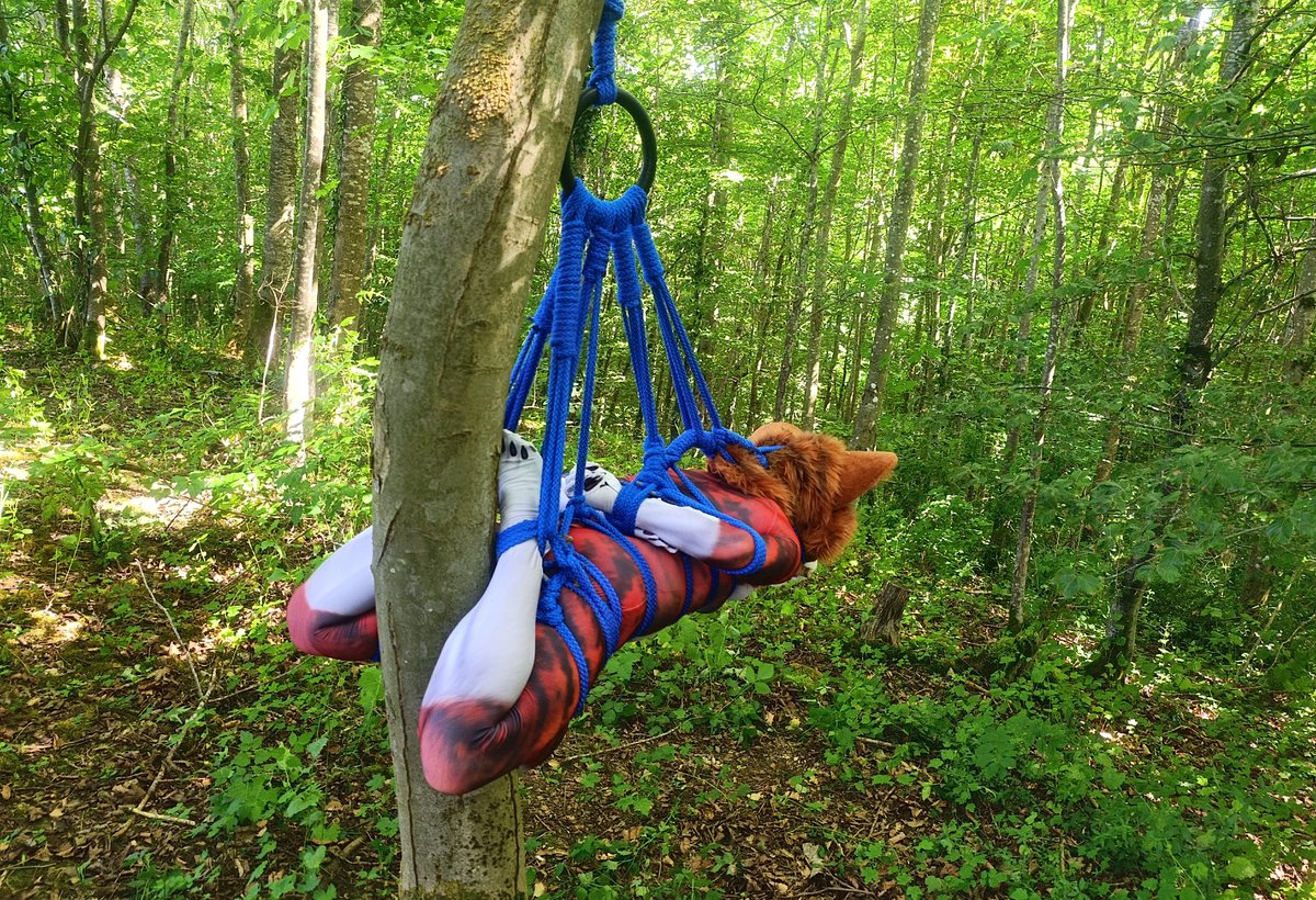 First time Tied a petsuit! 
Looks very good!

Fursuit: <a href="/RubberCorg/">RubberCorg</a>