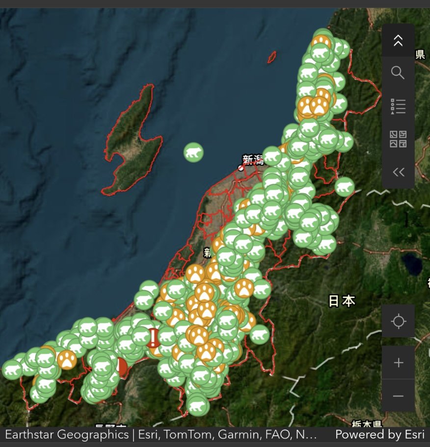 聞いておくれ🙋今日やっと家から400m位のとこで熊🐻の爪跡があったみたいなんですよ💃

…なお部落(旧村)の範囲で目撃情報は1件のみ…捕獲の話は聞くんだけど？