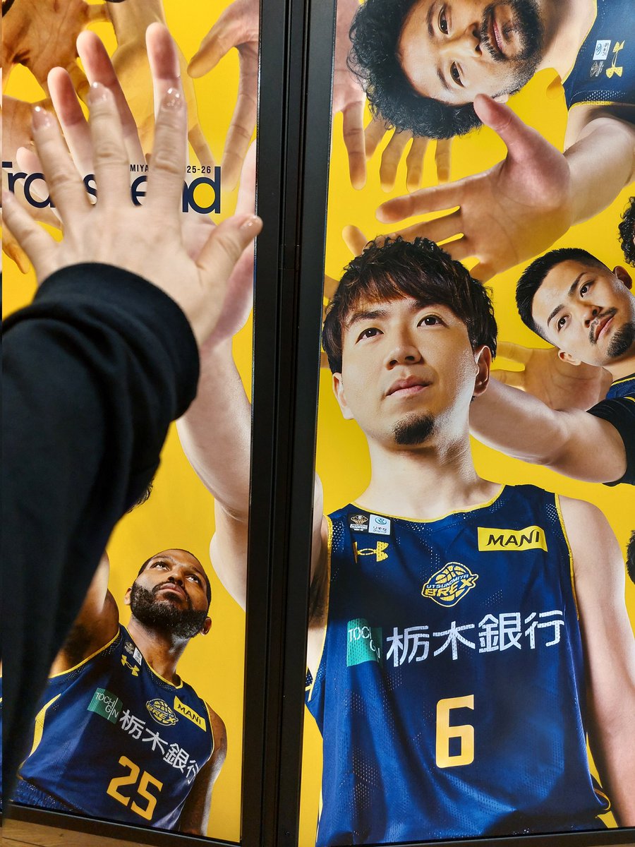 はるか✨🌙✨🏀🐨 on X