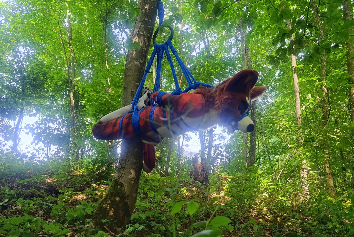 Thats it for this little Con, we head towards UK now... and the Corgi? ... yea maybe he is still there struggling... who knows ;-)

Thanks <a href="/RubberCorg/">RubberCorg</a> for the trust and enjoying my rope-skills over and over! It's a pleasure to work with you.