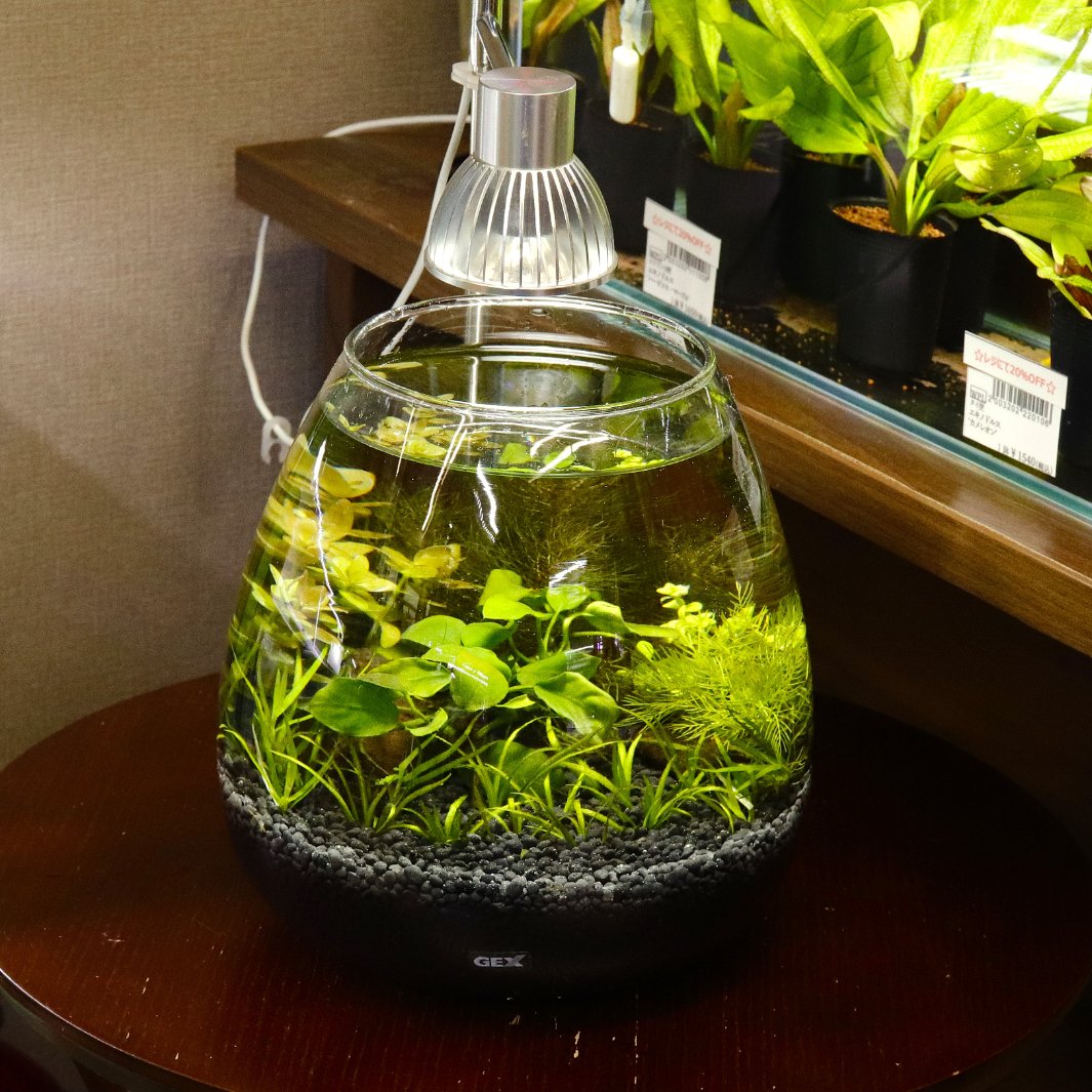 ただならぬ流木 タナカカツキ on X