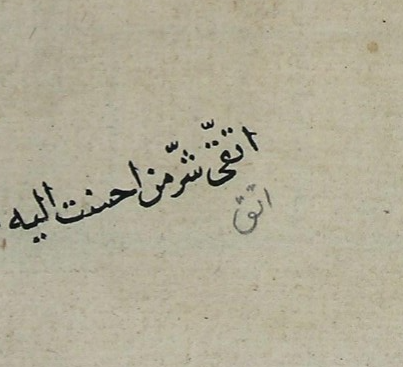 Kitabın boş sahifesine şunu yazmış:

"İyilik yaptığın kişinin şerrinden sakın."