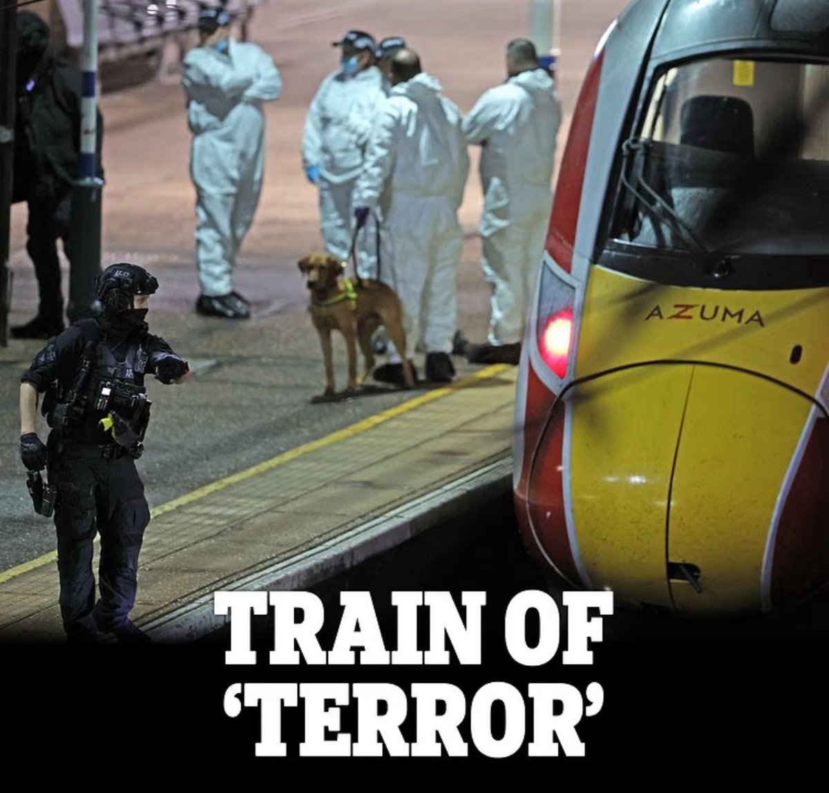 FIFTEEN HOURS since the Huntingdon train attack. 
Nothing from the Prime Minister, Justice Secretary or Home Secretary other than the usual platitudes. 
No information about whether we’ve just been subjected to another terror attack. 
But a lecture not to speculate. 
This is sick