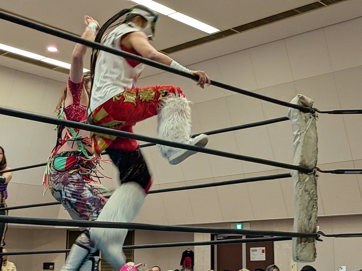 きょんきょん (@sfpx_taro) / Posts / X