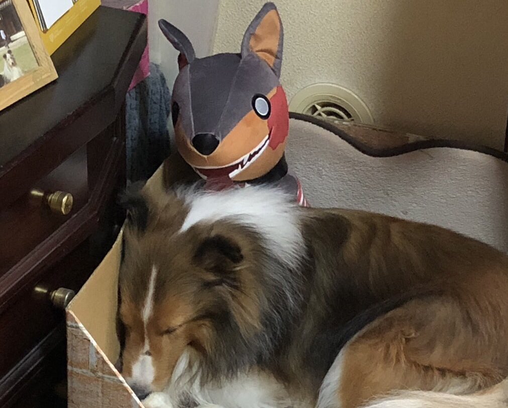 ちゃんと使ってる！🤣