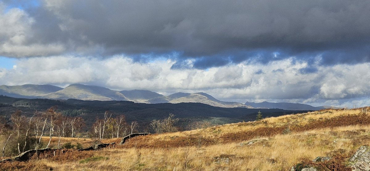 sufishsu's tweet image. #currentview