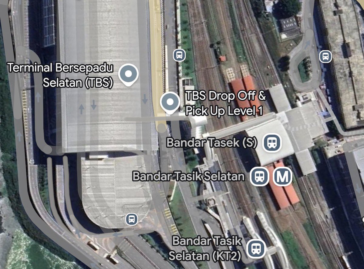 Ernest is: driving! 🚙🛞💨 tweet media