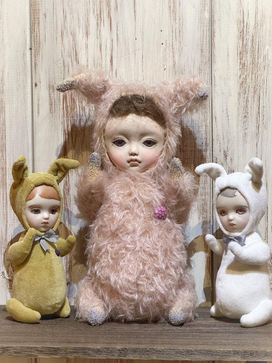 5日目無事終了いたしました。
今回は里帰りの子がたくさんで嬉しい☺️
久しぶりに見てもみんな可愛くてホッとしてます🙂‍↕️
しかしこうやって見るとスタンダードムイでかいな！！

ついに明日が最終日
寂しいなぁ、賑やかな1日になりますように✨