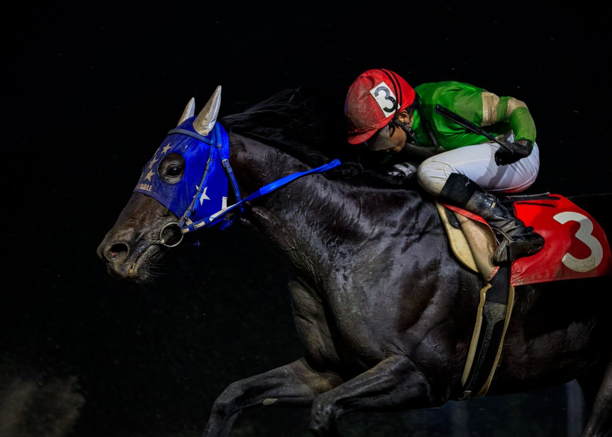 有)上山牧場 on X