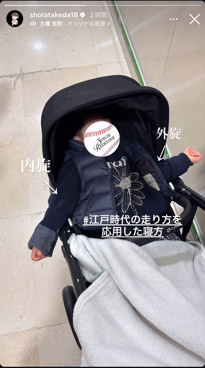 武田翔太のストーリー草