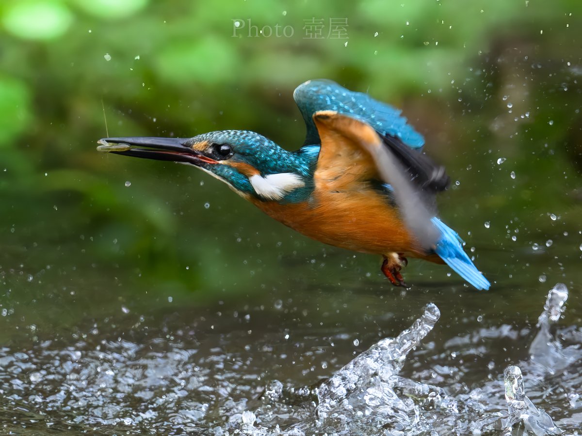 壺　作者不明 稀代の贋作者、古瀬戸焼「永仁の壺」で世間を騒がす‼｜骨董品買取のお