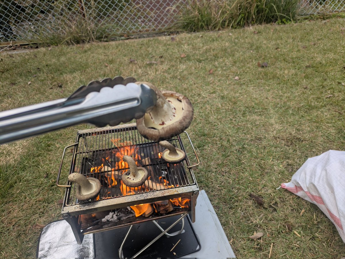 みぞやん (@mizoyan11) / Posts / X