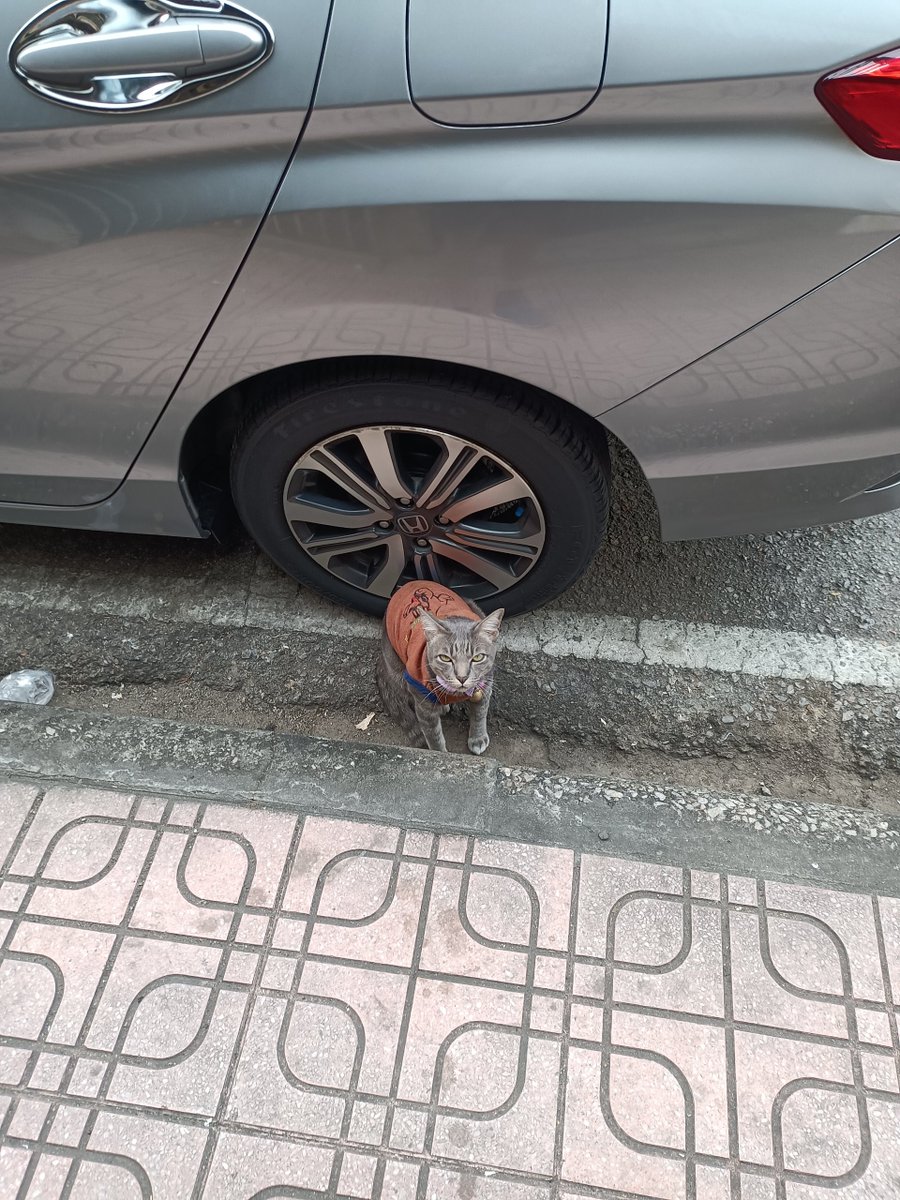 "It’s a beautiful day—let’s make it unforgettable!"