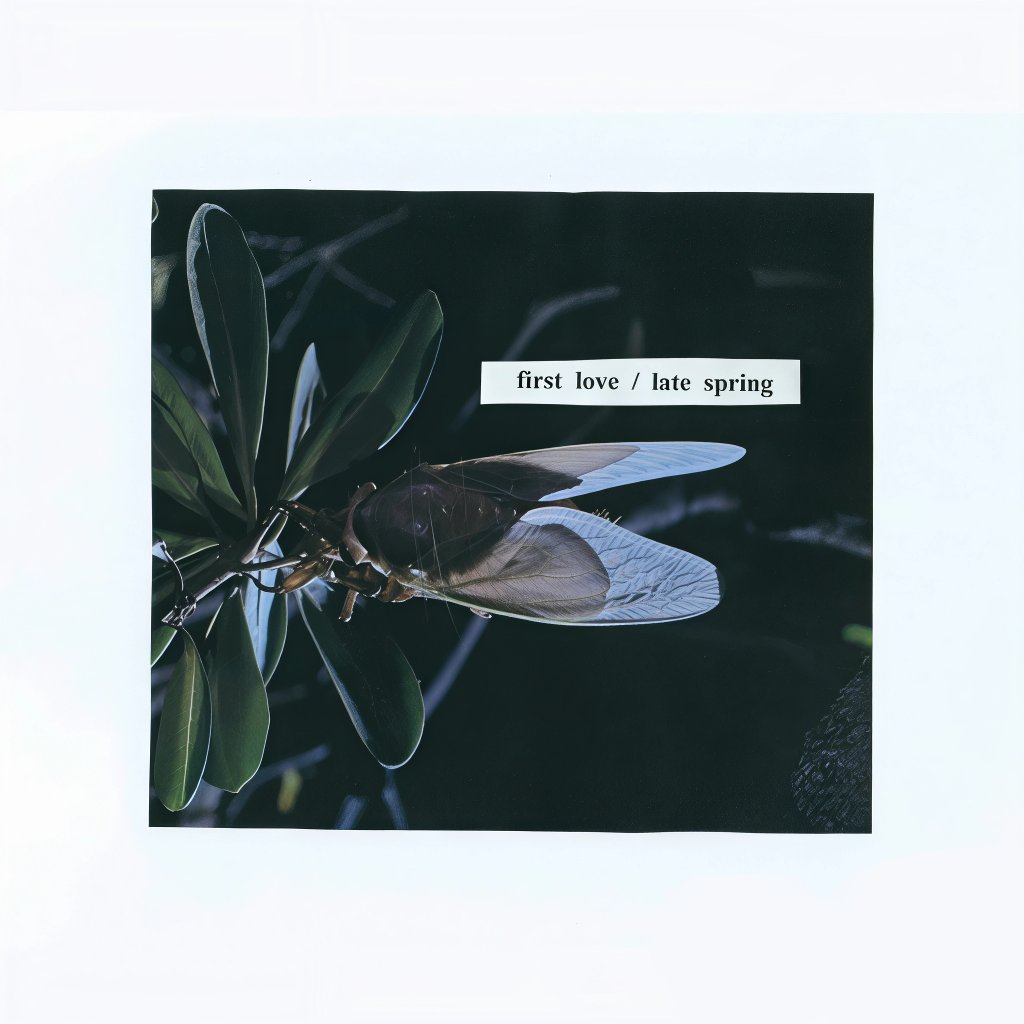 random mitski's. tweet media