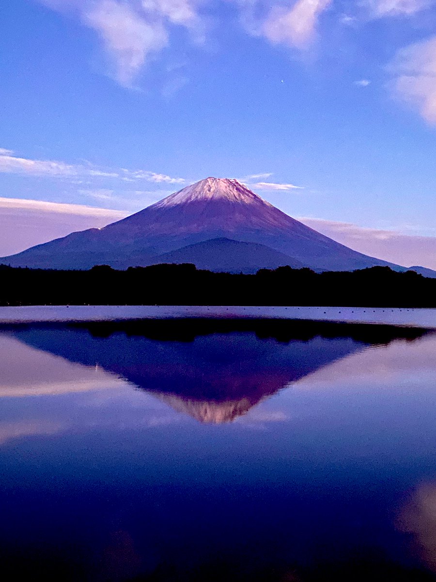 富士山コレクター大宮仁 on X